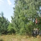 Wieża w Cieklińsku (6)