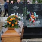zdjęcie nr 15