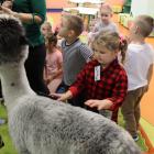 IMG-0745
