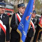 zdjęcie nr 37