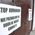 zdjęcie nr 44