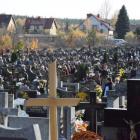 zdjęcie nr 19
