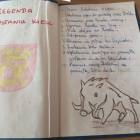 zdjęcie nr 9