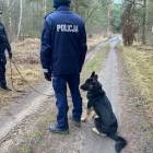 Fotka nr 1 z 5