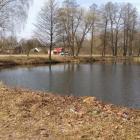 zdjęcie nr 8