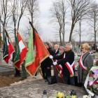zdjęcie nr 14