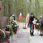 zdjęcie nr 12