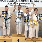 zdjęcie nr 10