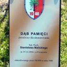 zdjęcie nr 7