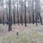 Sprzątanie stąporkowskiego lasu (6)