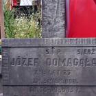 Fotka nr 4 z 7