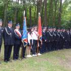 Fotka nr 5 z 13