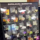 Fotka nr 3 z 4