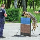 Fotka nr 1 z 2