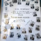 zdjęcie nr 9