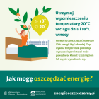 zdjęcie nr 10