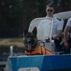 Fotka nr 1 z 2