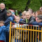 29. Masowe Biegi Uliczne w Końskich (2)