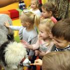 IMG-0648