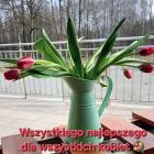 zdjęcie nr 9
