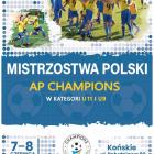 Fotka nr 0 z 1