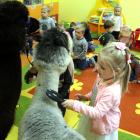 IMG-0702