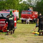 Fotka nr 4 z 22