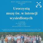 Fotka nr 0 z 1