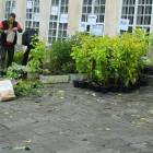 zdjęcie nr 8