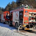 Fotka nr 1 z 3