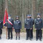 zdjęcie nr 7