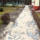 zdjęcie nr 12