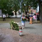 zdjęcie nr 23