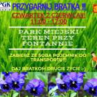 Fotka nr 0 z 1