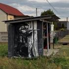 zdjęcie nr 9