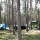 zdjęcie nr 8