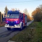 Fotka nr 3 z 4