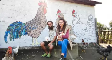 Życie w zgodzie z naturą, czyli jak Monika i Karol ekologicznie uprawiają pole