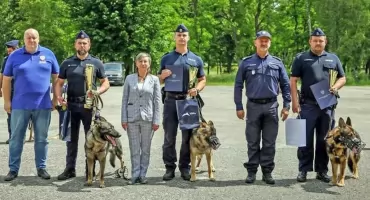 KIELCE, KOŃSKIE. Drugie miejsce w województwie dla koneckich policjantów. Sierż. sztab. Kamil Myszkowski i pies Solo jadą na mistrzostwa Polski!