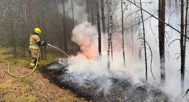 Dwa pożary lasów jednego dnia. Intensywna sobota dla strażaków z gminy Ruda Maleniecka