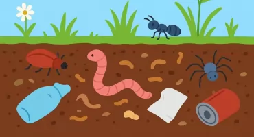 Gleba to skarb – jak odpady mogą ją niszczyć i jak możemy ją chronić?