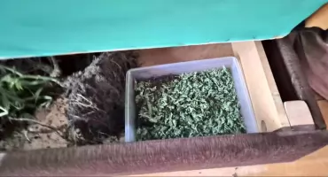 GMINA STĄPORKÓW. Czterech zatrzymanych. Jeden pójdzie siedzieć - posiadał narkotyki [ZDJĘCIA]