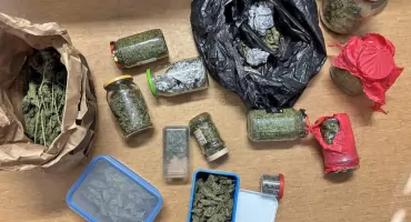 GMINA RUDA MALENIECKA. Marihuana świeża i suszona. Za produkcję mężczyźnie grozi kara nawet do lat 20 więzienia!