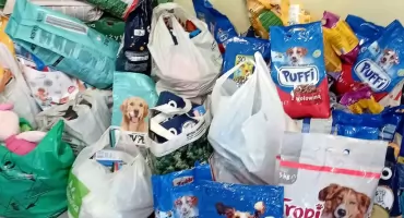 GMINA RUDA MALENIECKA. Akcja społeczna - zbiórka karmy dla bezdomnych zwierząt zakończona sukcesem