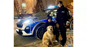 GMINA SMYKÓW. Wykazali empatię i zaangażowanie. Bezpański pies z rejonu Miedzierzy otrzymał schronienie