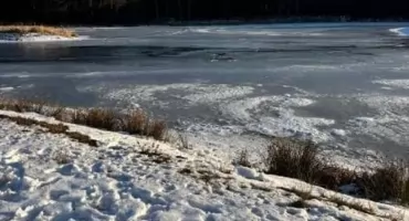 SIELPIA. Dama z pieskiem na lodzie i w wodzie. Strażacy ostrzegają: nie wchodzić na zamarznięte zbiorniki wodne!