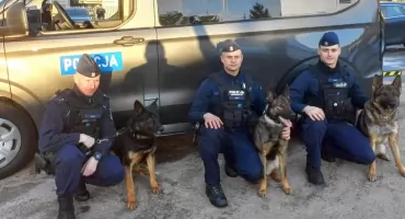 Specjalistyczny samochód dla Komendy Powiatowej Policji w Końskich. Dla psów służbowych i ich przewodników