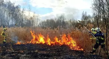 ZAOSTRÓW. Paliły się nieużytki i poszycie leśne. W akcji drony i dromader. Znów podpalenie?