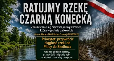 PILNE: Czy uratujemy Czarną Konecką? Na stole 410 milionów złotych, ale czas ucieka!
