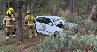 GMINA SŁUPIA KONECKA. Skoda uderzyła w ciężarówkę, potem w drzewo